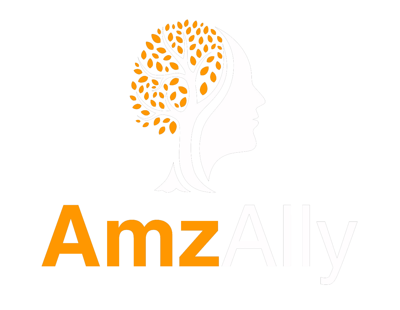 amzally.com